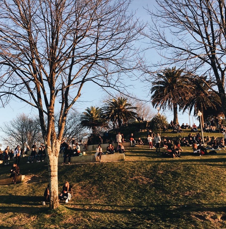 Place Jardim do Morro
