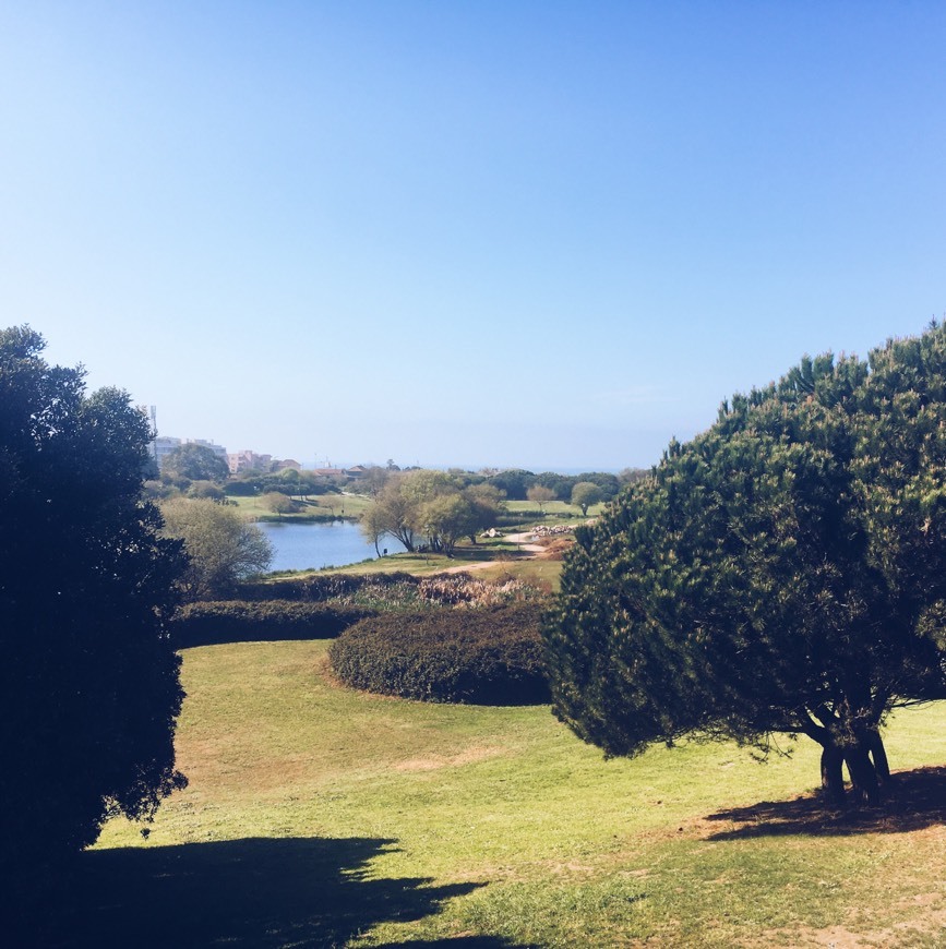 Place Parque da Cidade