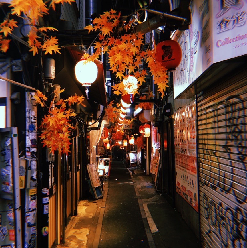 Restaurants Omoide Yokocho