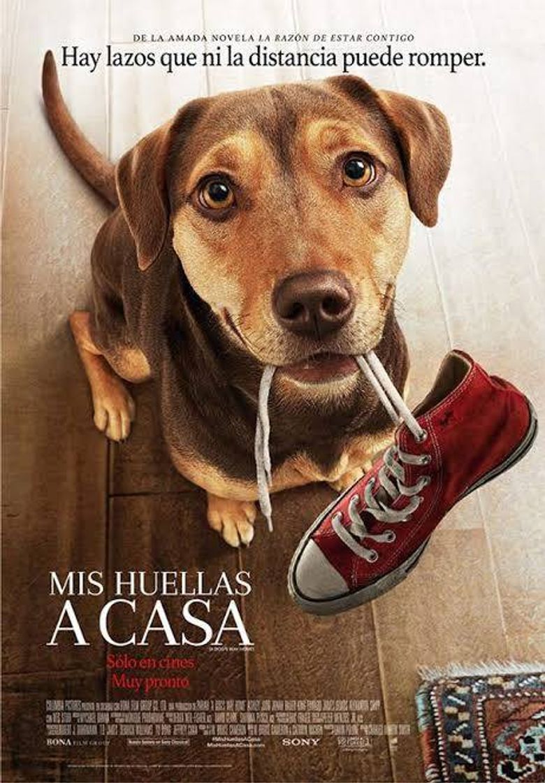 Películas MIS HUELLAS A CASA |