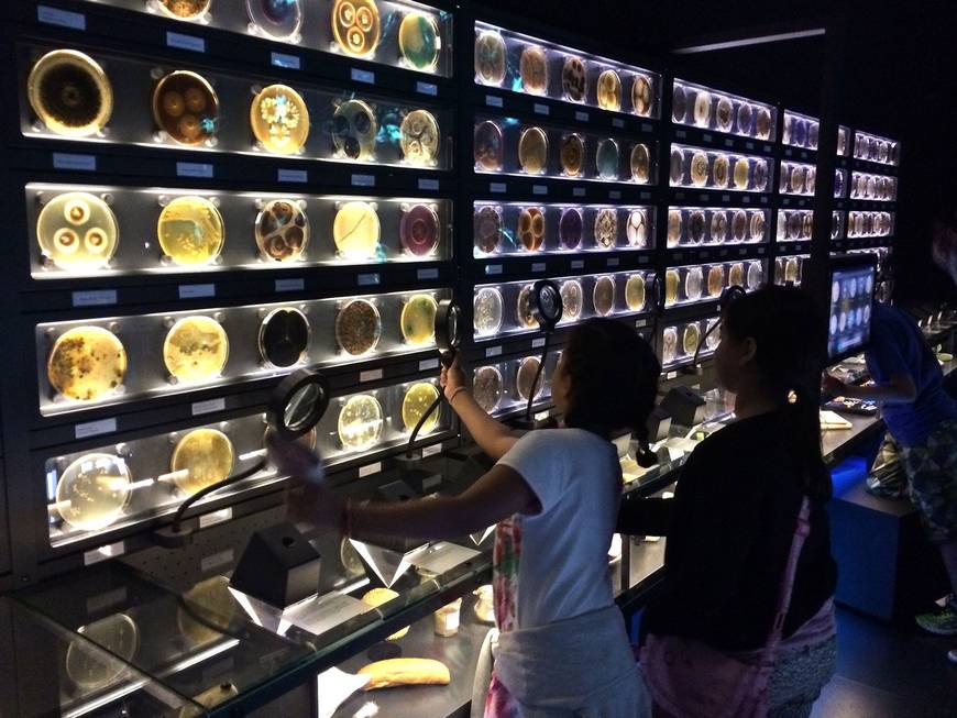Place Micropia