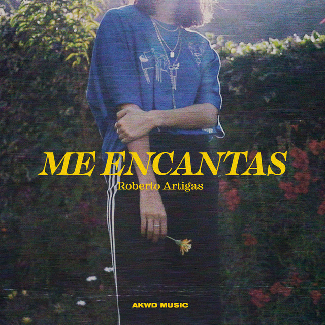 Music Roberto Artigas - Me encantas