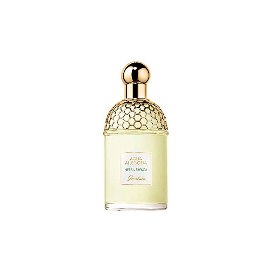 Belleza Guerlain Aqua Allegoria Herba Fresca Eau de Toilette Vaporizador 125 ml