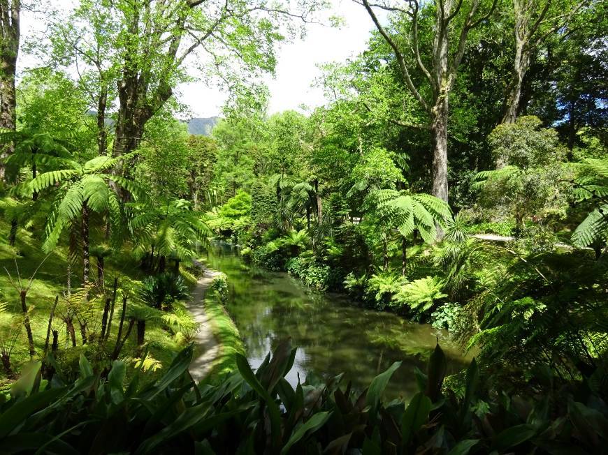 Lugar Terra Nostra Garden Hotel | Furnas - São Miguel