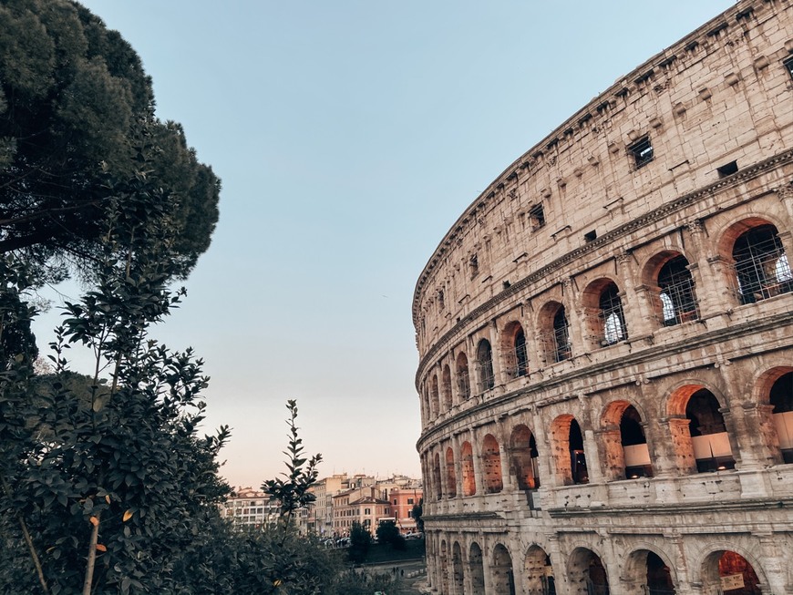 Place Coliseo de Roma