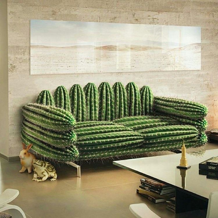 Product Cactus Decor 