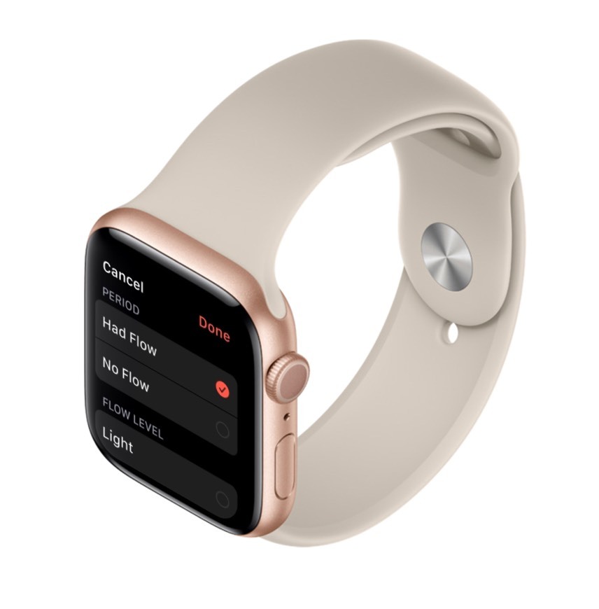 Fashion Apple Watch Series 5 – Apple (PT)