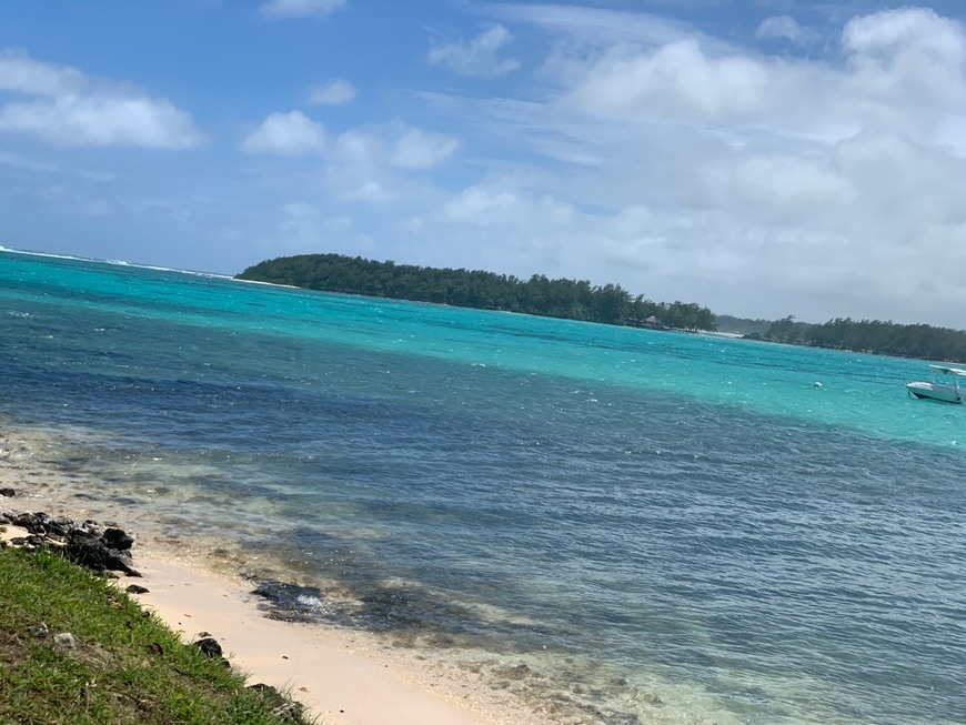 Restaurantes Blue Bay