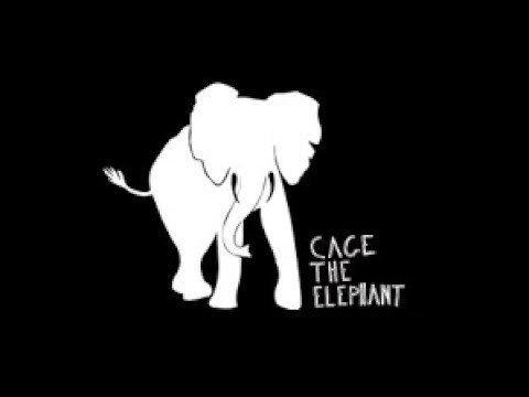 Canción There ain't no rest for the wicked from cage the elephant