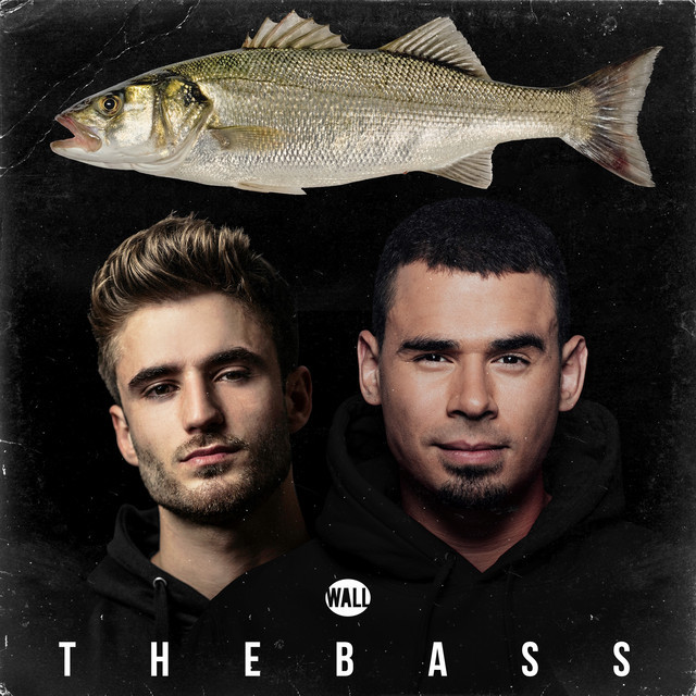 Canción The Bass