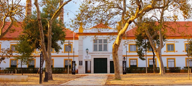 Lugar Museu Vista Alegre