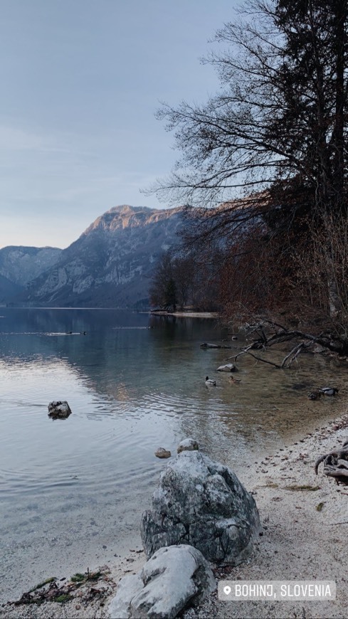 Place Bohinj