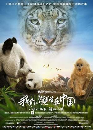 Movie Nacidos en China