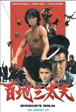 Movie El guerrero ninja