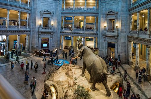 Museo Nacional de Historia Estadounidense