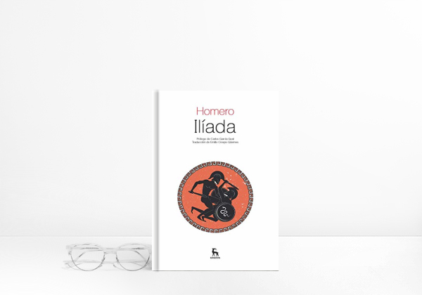 Libro Ilíada