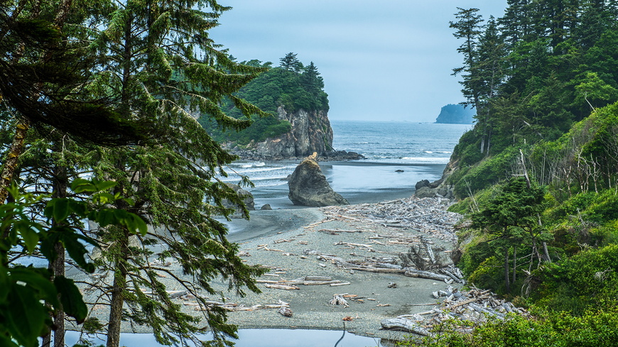 Places Olympic Peninsula