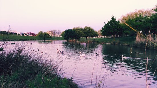 Lugar Parque da Paz