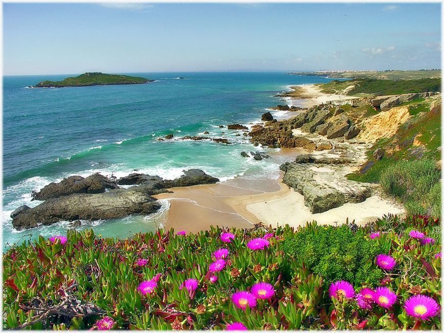 Place Ilha do Pessegueiro
