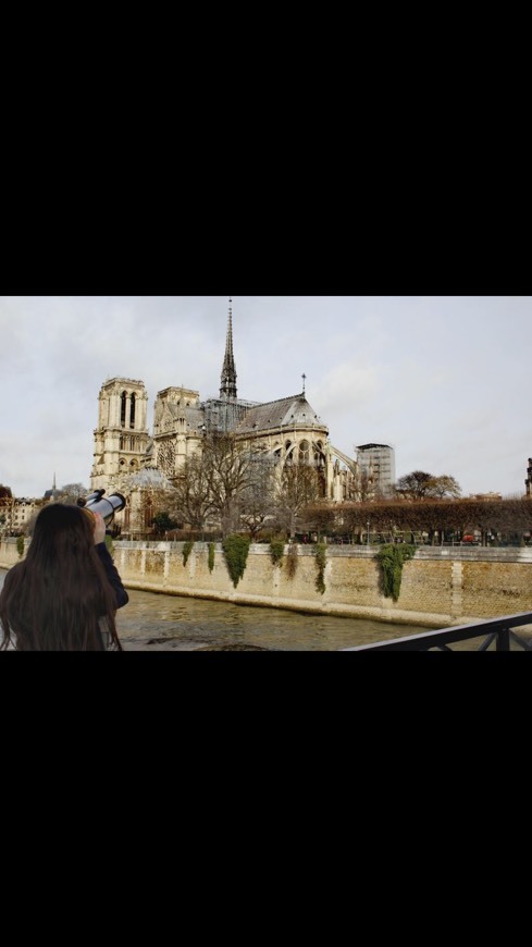 Place Catedral de Notre Dame