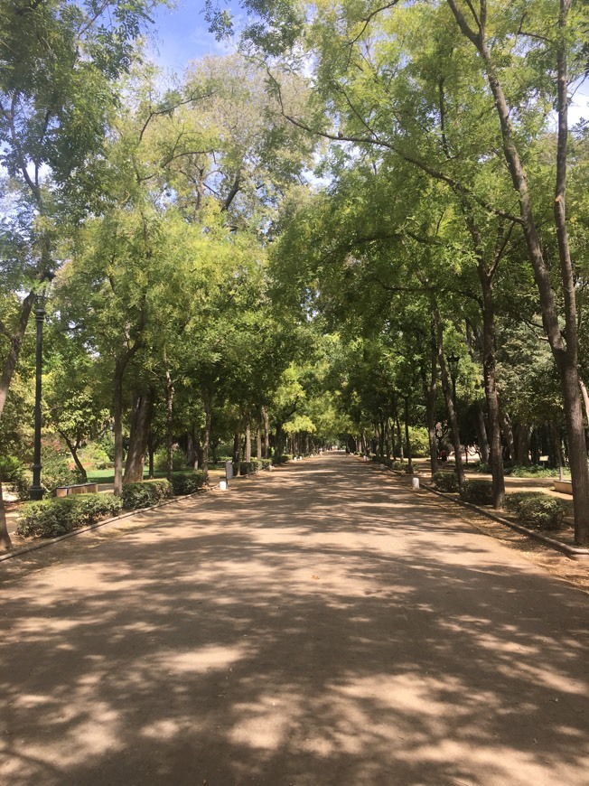 Lugar Parque de María Luisa