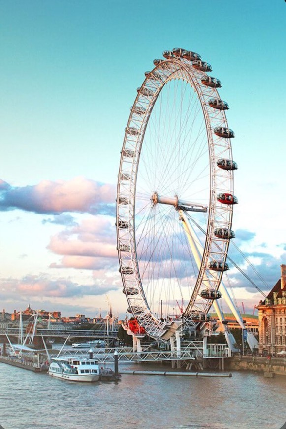 Place London Eye