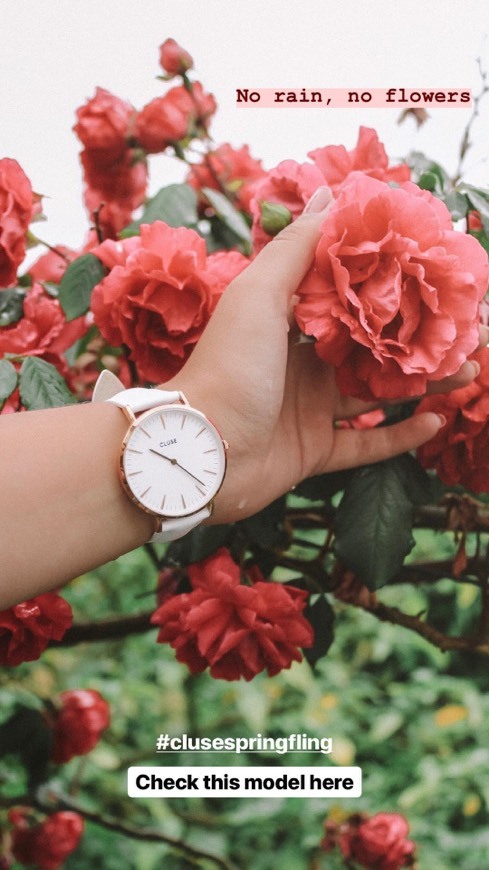Social CLUSE Reloj Analógico para Mujer de Cuarzo con Correa en Cuero CL30060