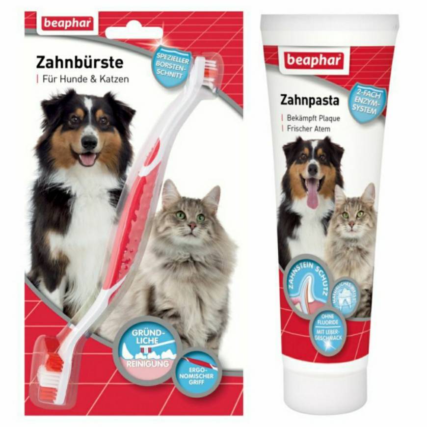 Product Set de limpieza dental beaphar para perros y gatos