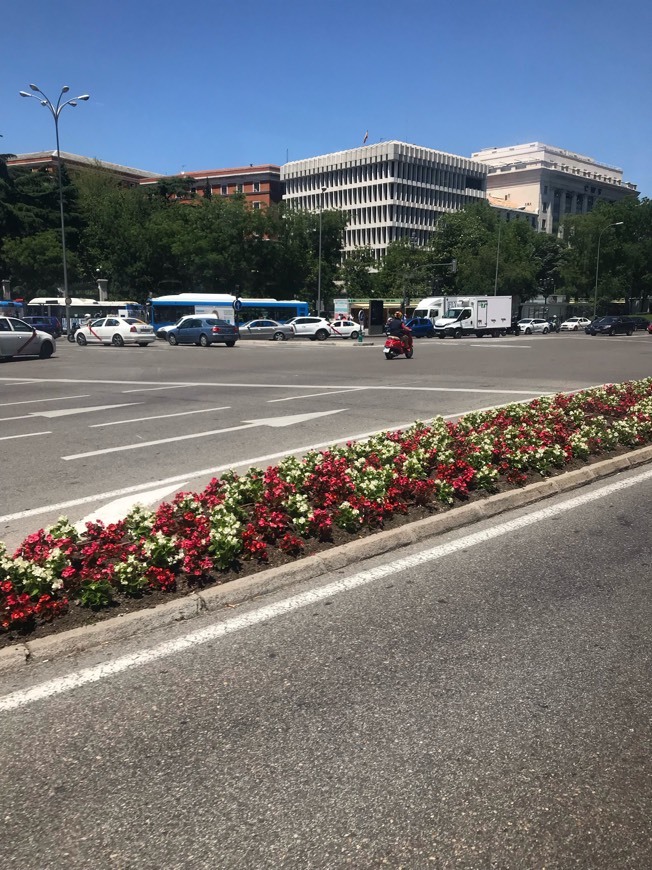 Lugar Plaza de Cibeles