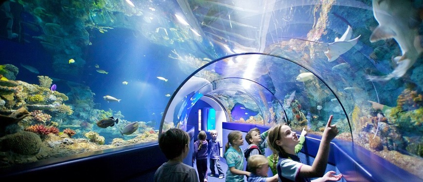 Place Oceanarium