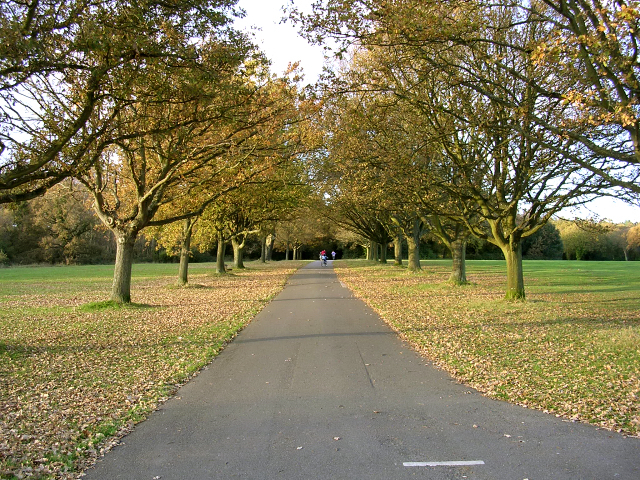 Lugar Southampton Common