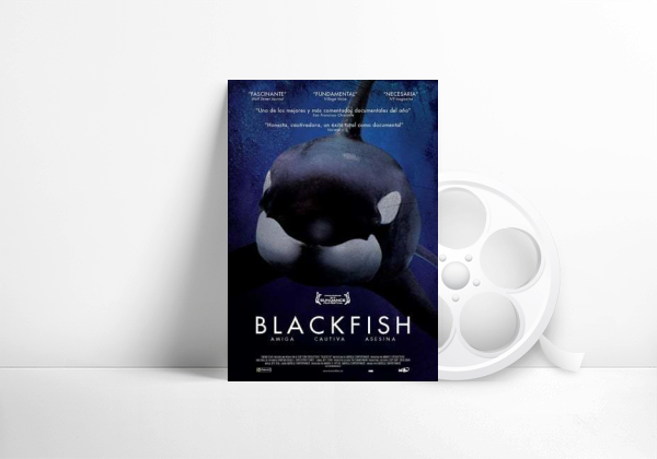 Película Blackfish
