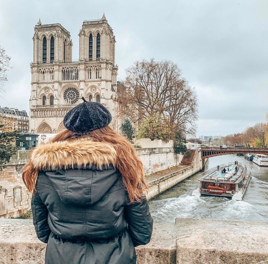 Lugar Catedral de Notre Dame