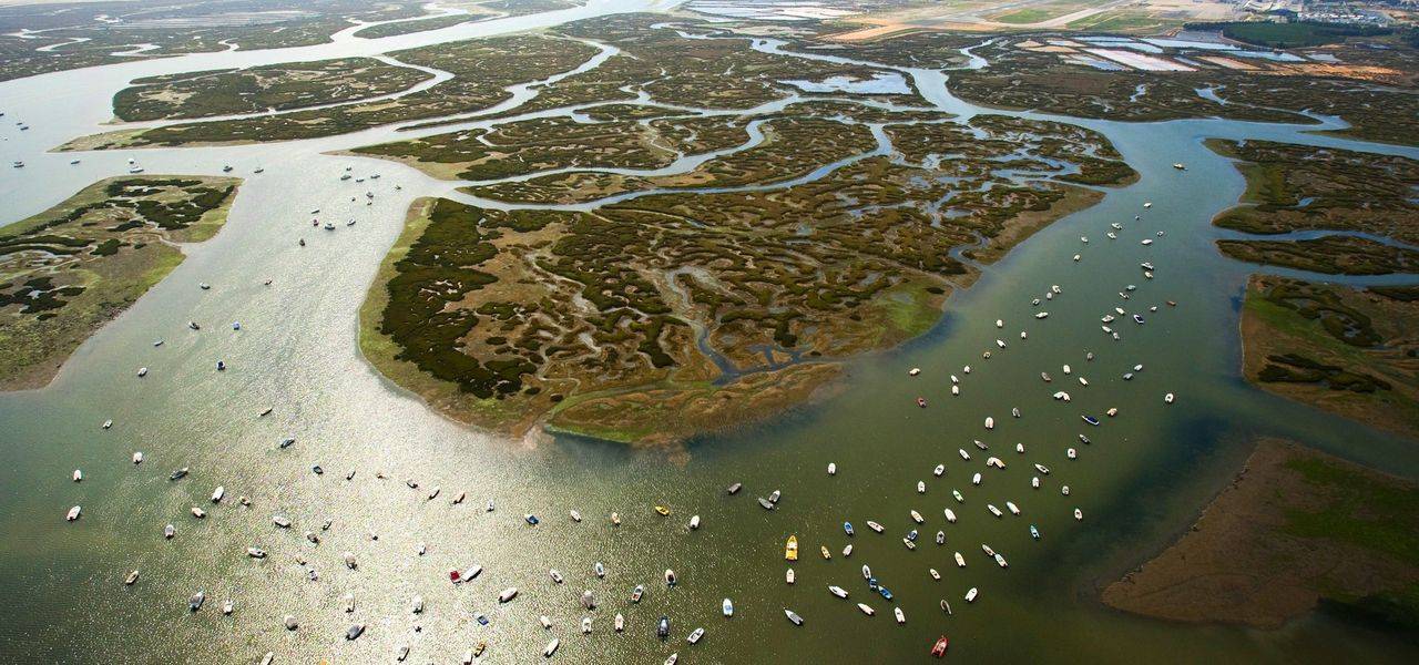 Place Ria Formosa Natural Park