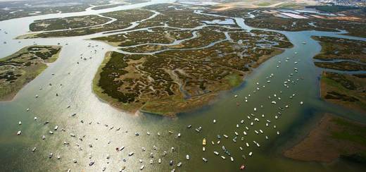 Ria Formosa Natural Park