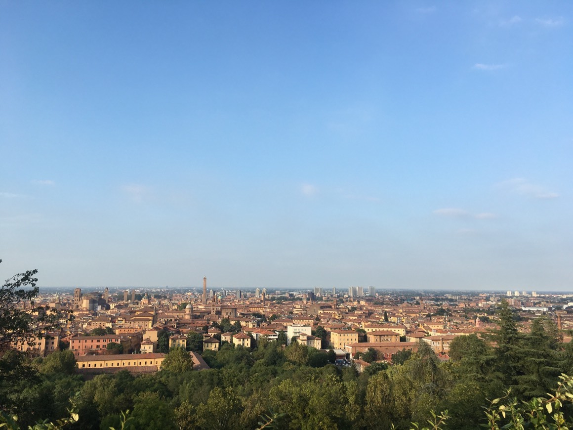 Lugar San Michele In Bosco