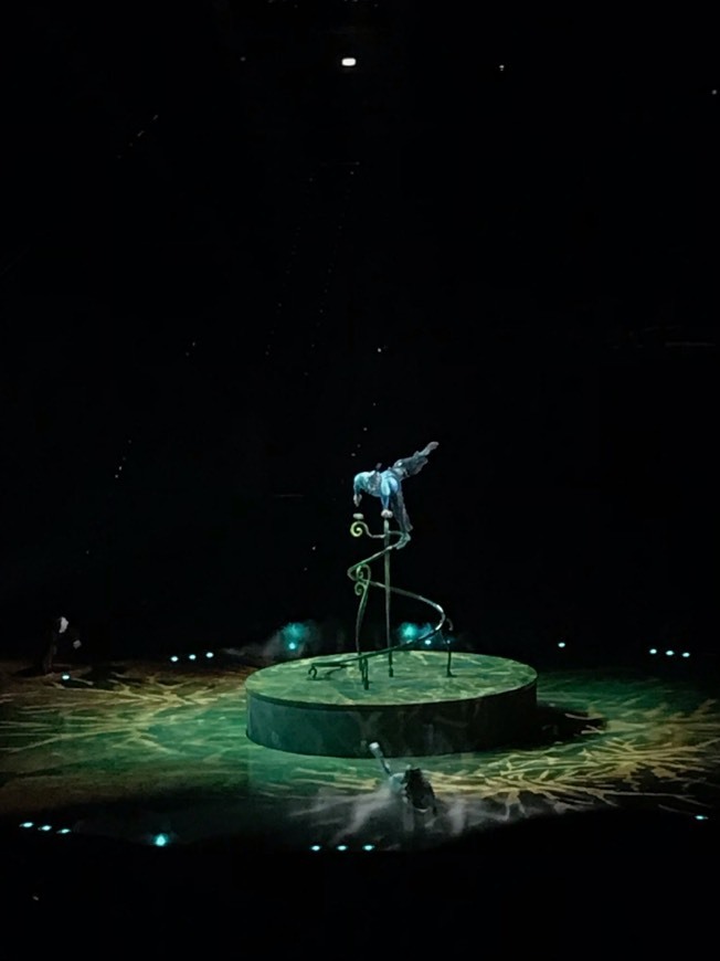 Cirque du Soleil OVO