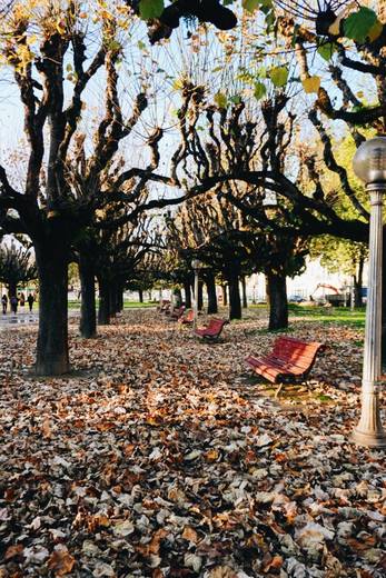 Park Verde do Mondego