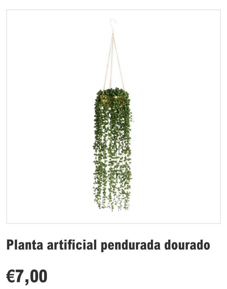 Fashion Planta