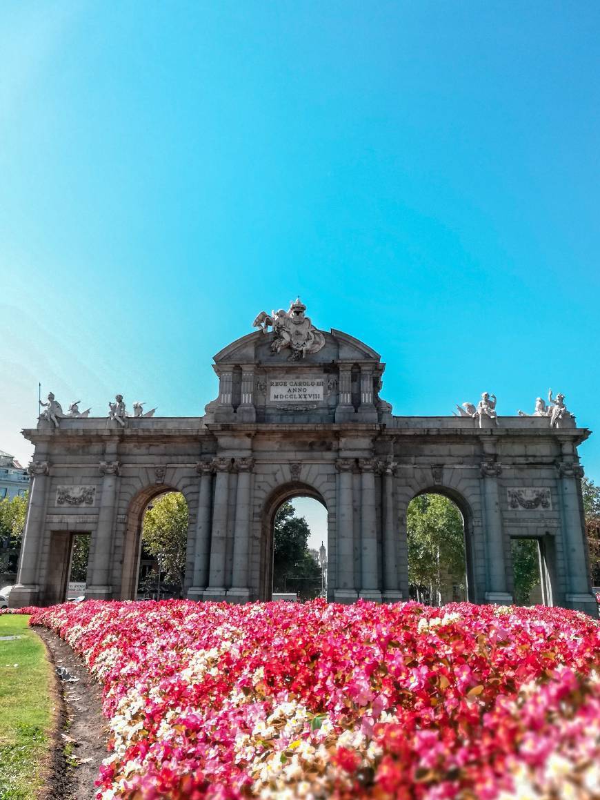 Place Puerta de Alcalá