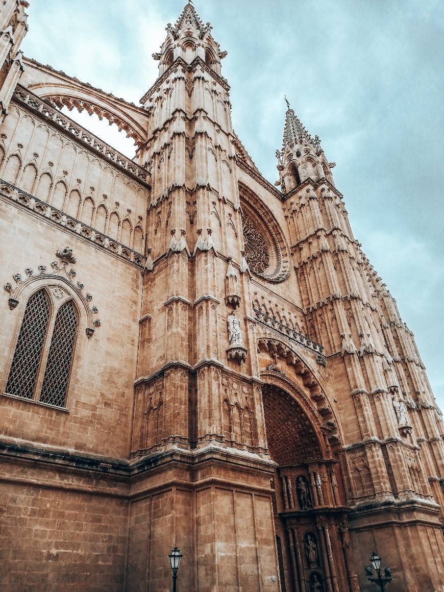 Lugar Catedral-Basílica de Santa María de Mallorca