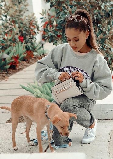 Baby toulouse 