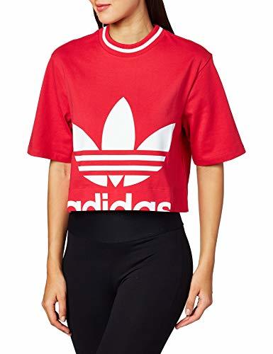 Fitness adidas Cropped tee T-Shirts