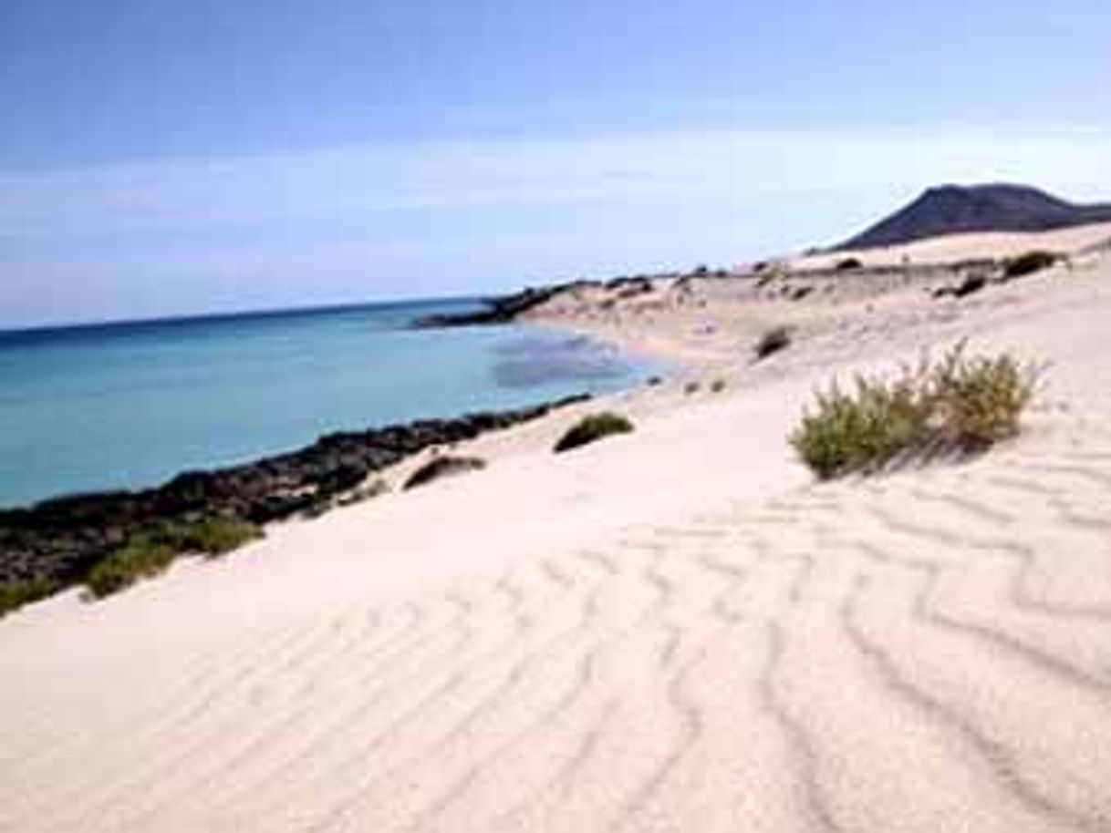 Lugar Las Dunas Corralejo