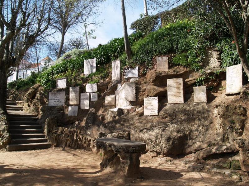 Place Penedo da Saudade