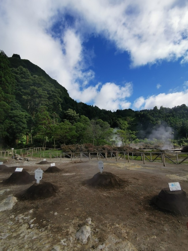 Place Furnas