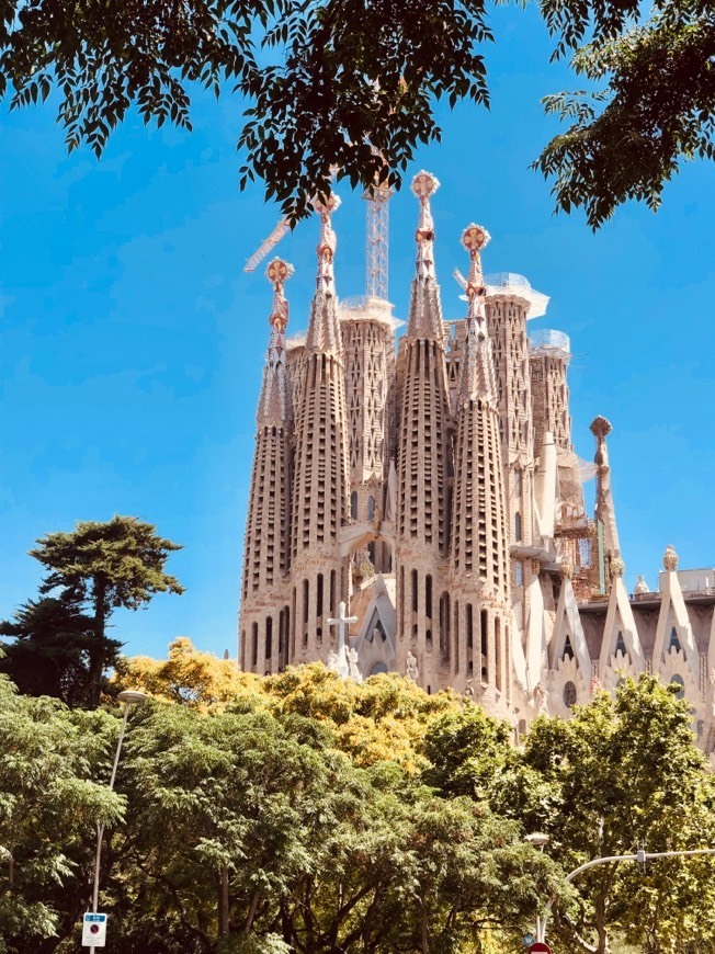 Lugar Basílica Sagrada Familia