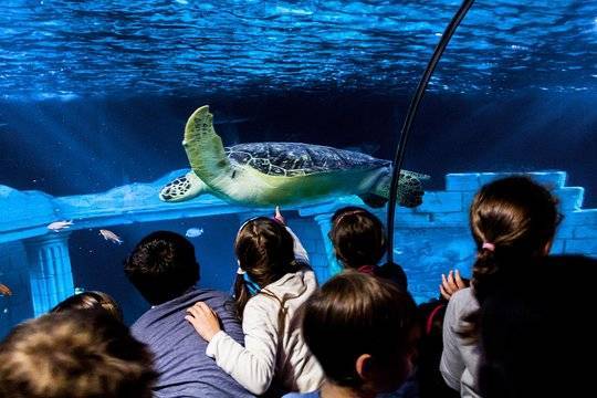 Place Sealife - Porto 🇵🇹