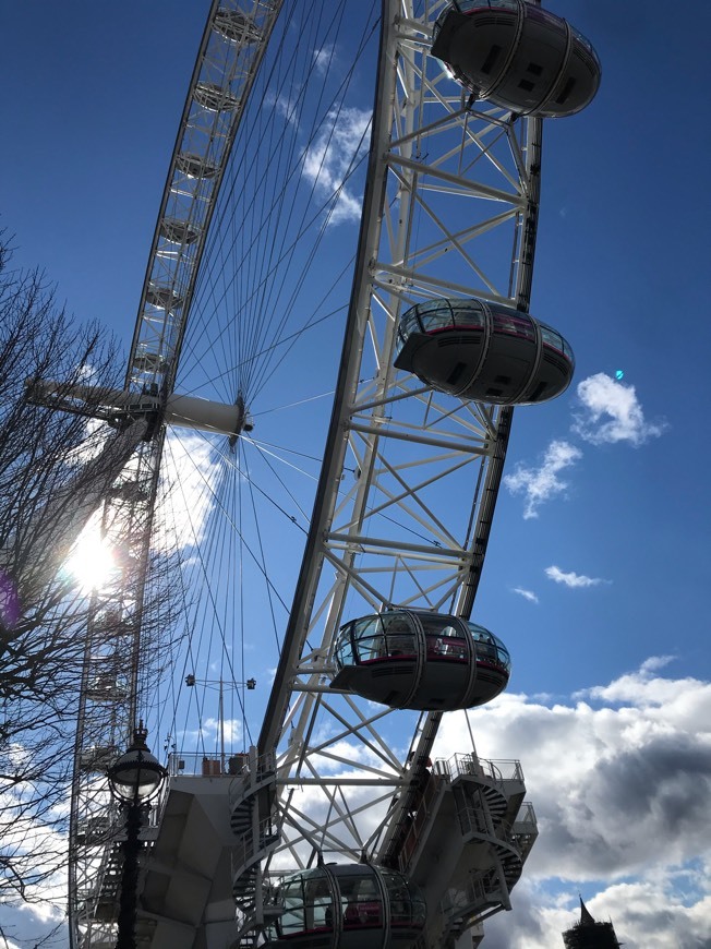 Place London Eye