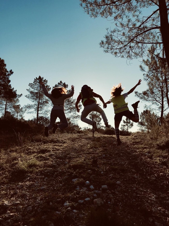 Lugar Caminho do Tejo / Caminhos de Fátima e de Santiago